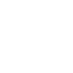 ICONO FERRY Blanco